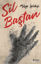 Picture of Sil Baştan
