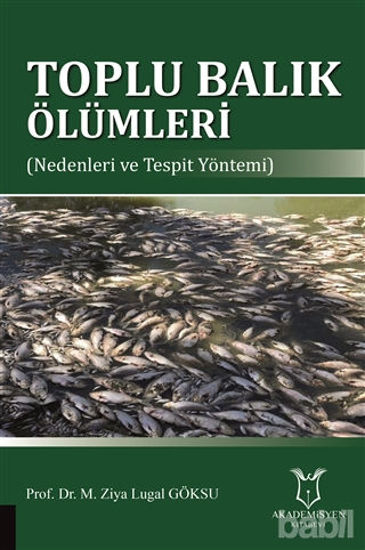 Picture of Toplu Balık Ölümleri