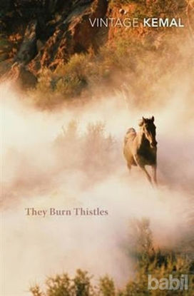 Picture of They Burn Thistles