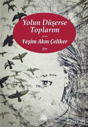 Picture of Yolun Düşerse Toplarım