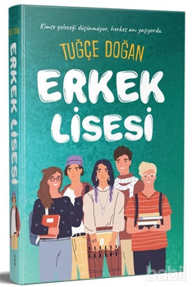 Picture of Erkek Lisesi