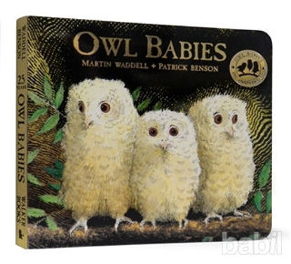 Picture of Owl Babies