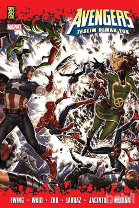 Picture of Avengers: Teslim Olmak Yok