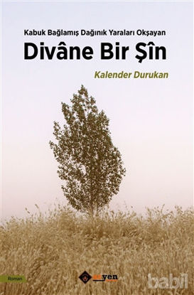 Picture of Divane Bir Şin