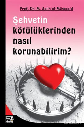 Picture of Şehvetin Kötülüklerinden Nasıl Korunabilirim?