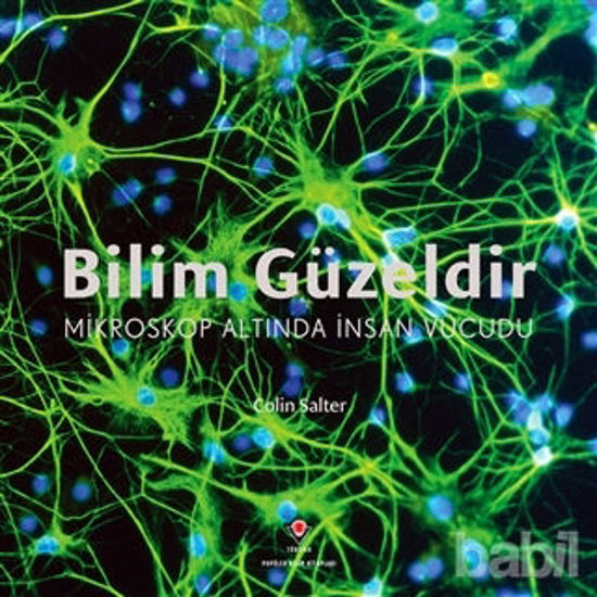 Picture of Bilim Güzeldir - Mikroskop Altında İnsan Vücudu