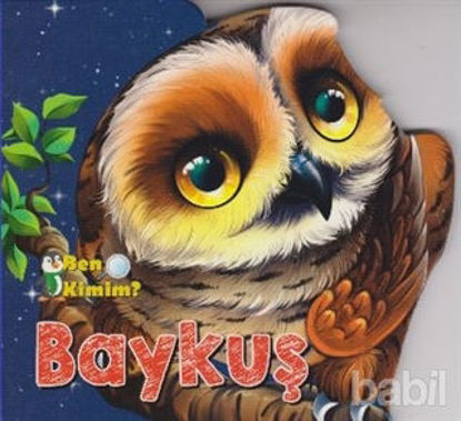 Picture of Ben Kimim? - Baykuş