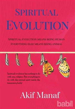 Picture of Spiritual Evolution