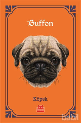 Picture of Köpek