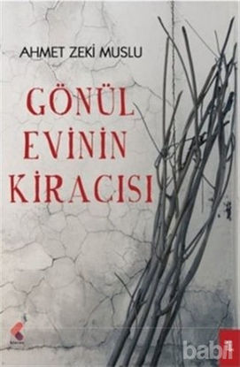 Picture of Gönül Evinin Kiracısı