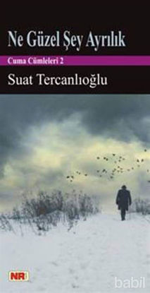 Picture of Ne Güzel Şey Ayrılık