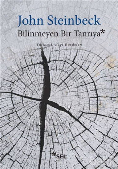 Picture of Bilinmeyen Bir Tanrıya