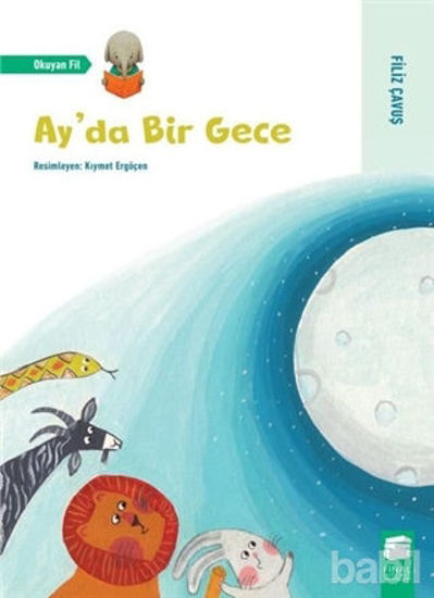 Picture of Ay'da Bir Gece