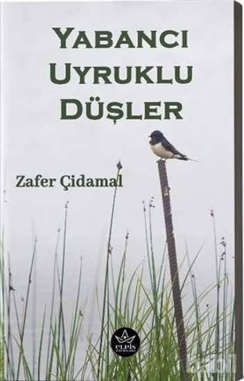 Picture of Yabancı Uyruklu Düşler