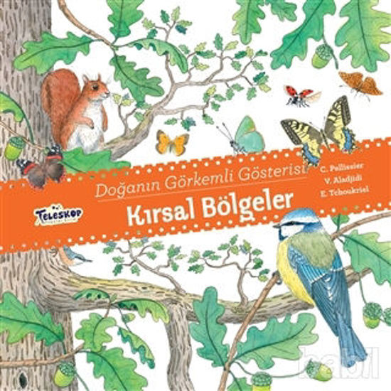 Picture of Kırsal Bölgeler - Doğanın Görkemli Gösterisi