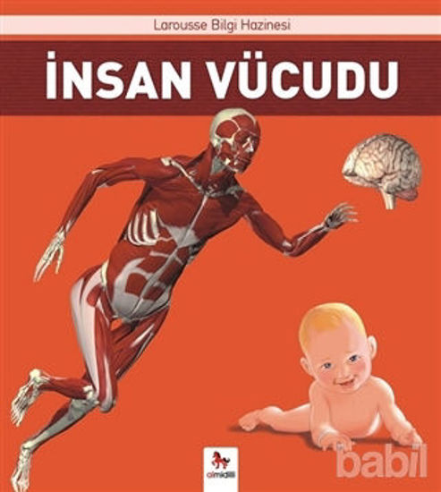 Picture of İnsan Vücudu