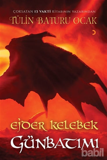 Picture of Ejder Kelebek Günbatımı