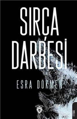 Picture of Sırça Darbesi