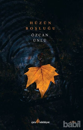 Picture of Hüzün Boşluğu