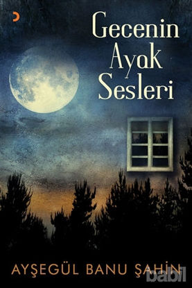 Picture of Gecenin Ayak Sesleri