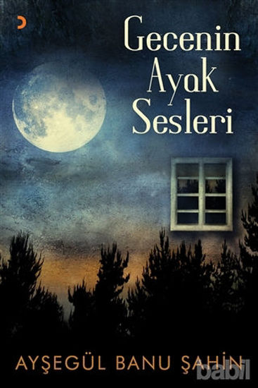 Picture of Gecenin Ayak Sesleri