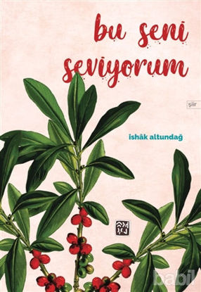 Picture of Bu Seni Seviyorum