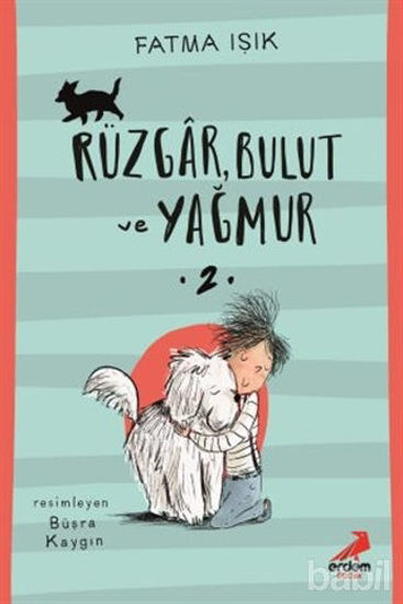 Picture of Rüzgar Bulut ve Yağmur