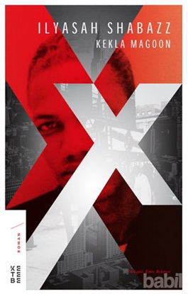 Picture of X