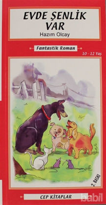 Picture of Evde Şenlik Var