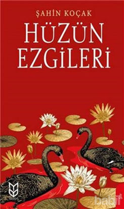 Picture of Hüzün Ezgileri