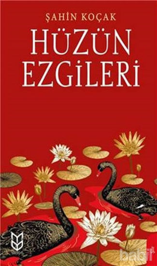 Picture of Hüzün Ezgileri