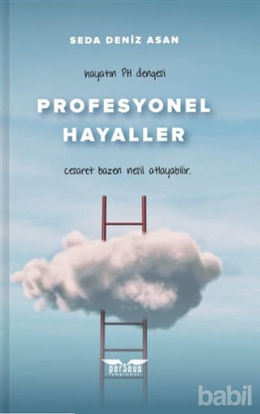 Picture of Profesyonel Hayaller