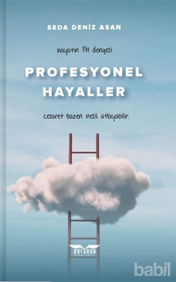 Picture of Profesyonel Hayaller