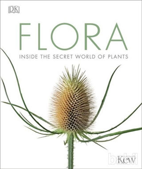 Picture of Flora: Inside The Secret World of Plants