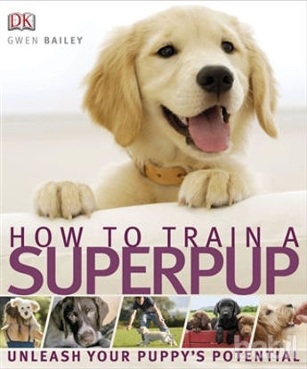 Picture of How To Train a Superpup