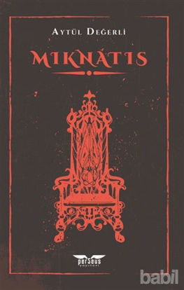 Picture of Mıknatıs