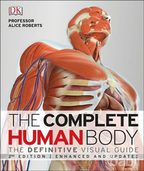 Picture of The Complete Human Body