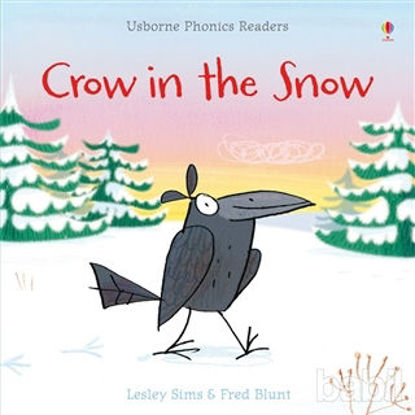 Picture of Crow in The Snow