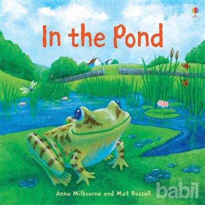 Picture of In the Pond