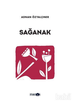 Picture of Sağanak