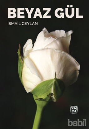 Picture of Beyaz Gül