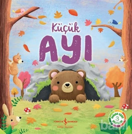 Picture of Küçük Ayı