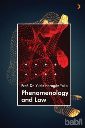 Picture of Phenomenology and Law