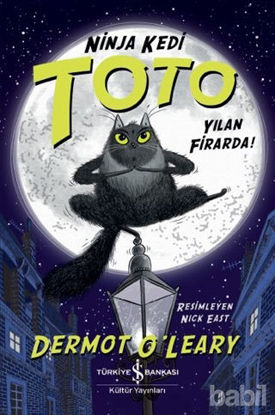 Picture of Yılan Firarda - Ninja Kedi Toto