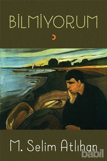 Picture of Bilmiyorum