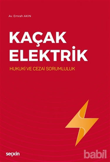 Picture of Kaçak Elektrik