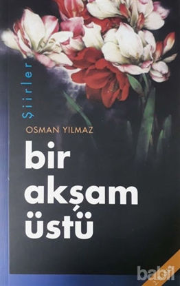 Picture of Bir Akşam Üstü