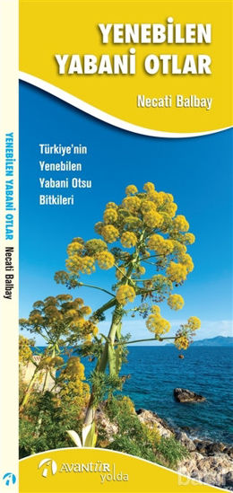 Picture of Yenebilen Yabani Otlar