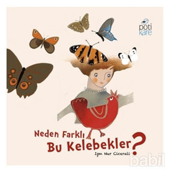 Picture of Neden Farklı Bu Kelebekler?