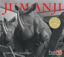 Picture of Jumanji